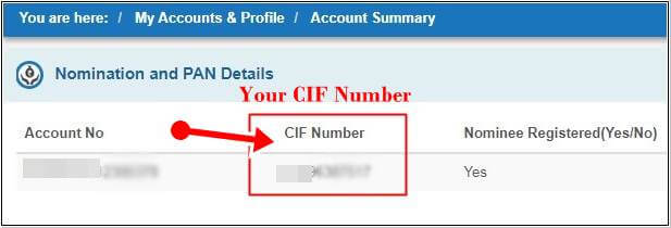 cif number of sbi